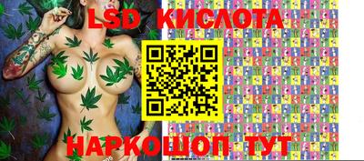 винт Кандалакша