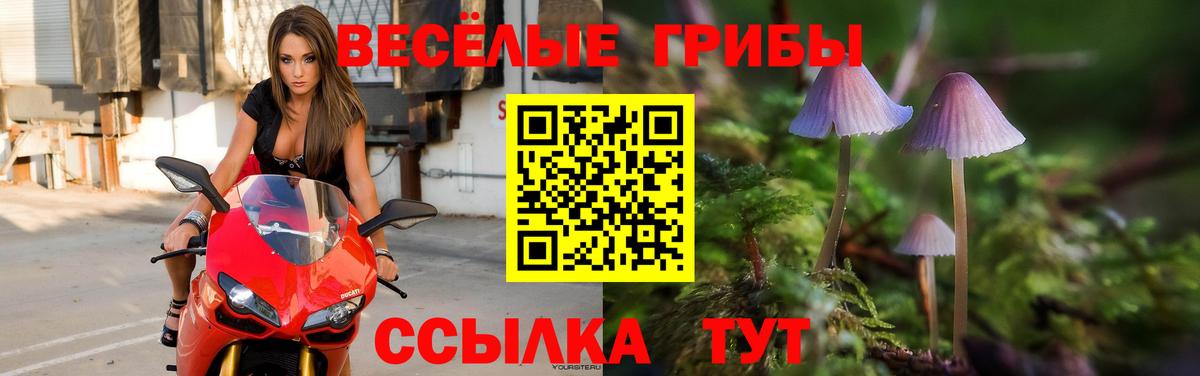Коммунар  Псилоцибиновые грибы MAGIC MUSHROOMS  Вход с VPN  Галлюциногенные грибы ЛСД 